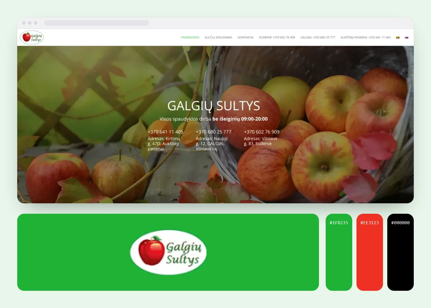 Galgių sultys: svetainės vaizdas, logotipas ir spalvos