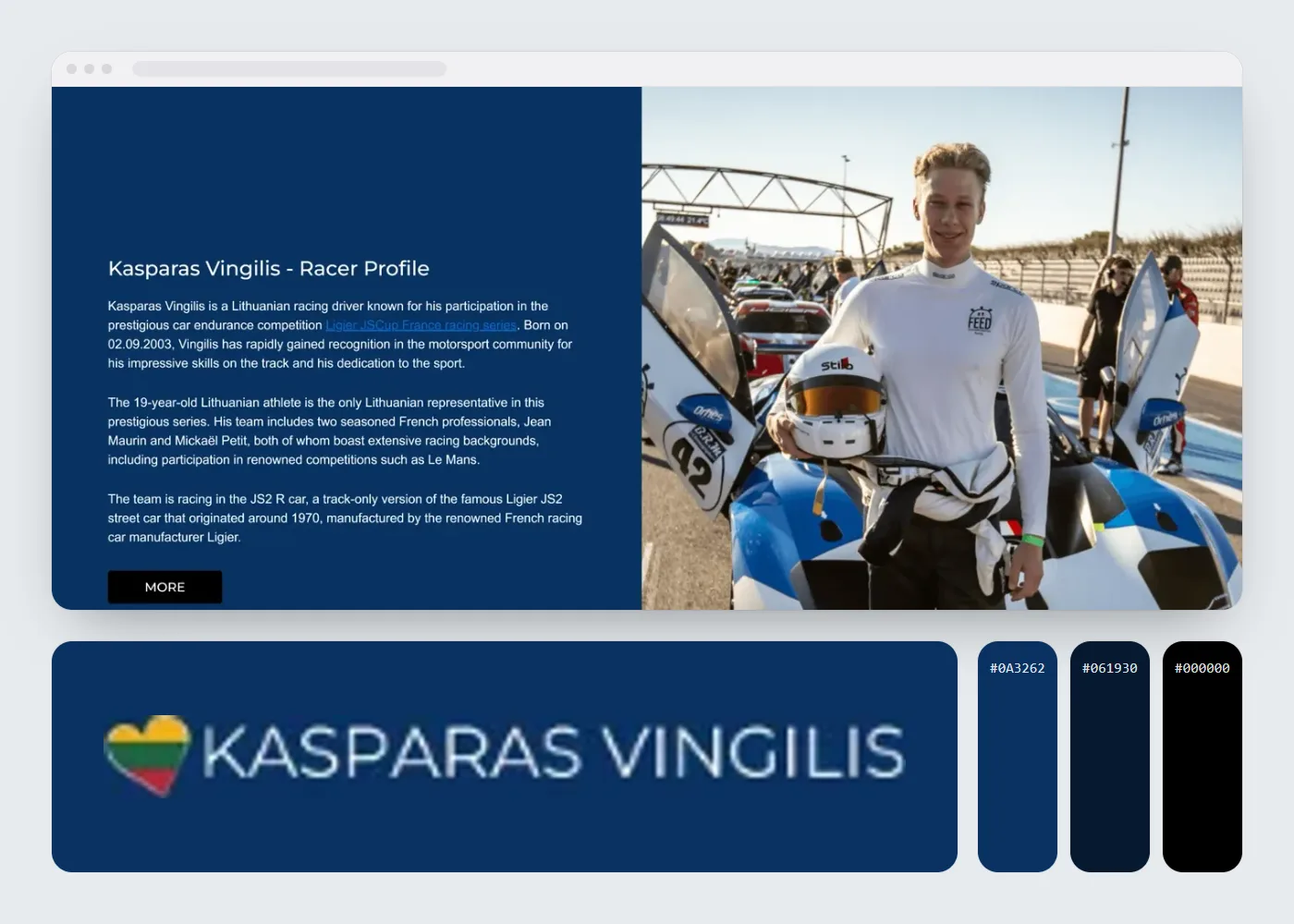 Kasparas Vingilis: svetainės vaizdas, logotipas ir spalvos