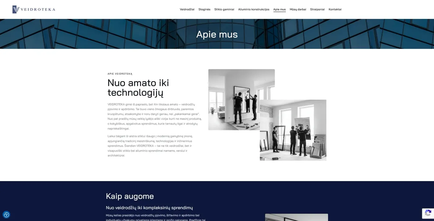 Veidroteka, projekto ekrano nuotrauka 4